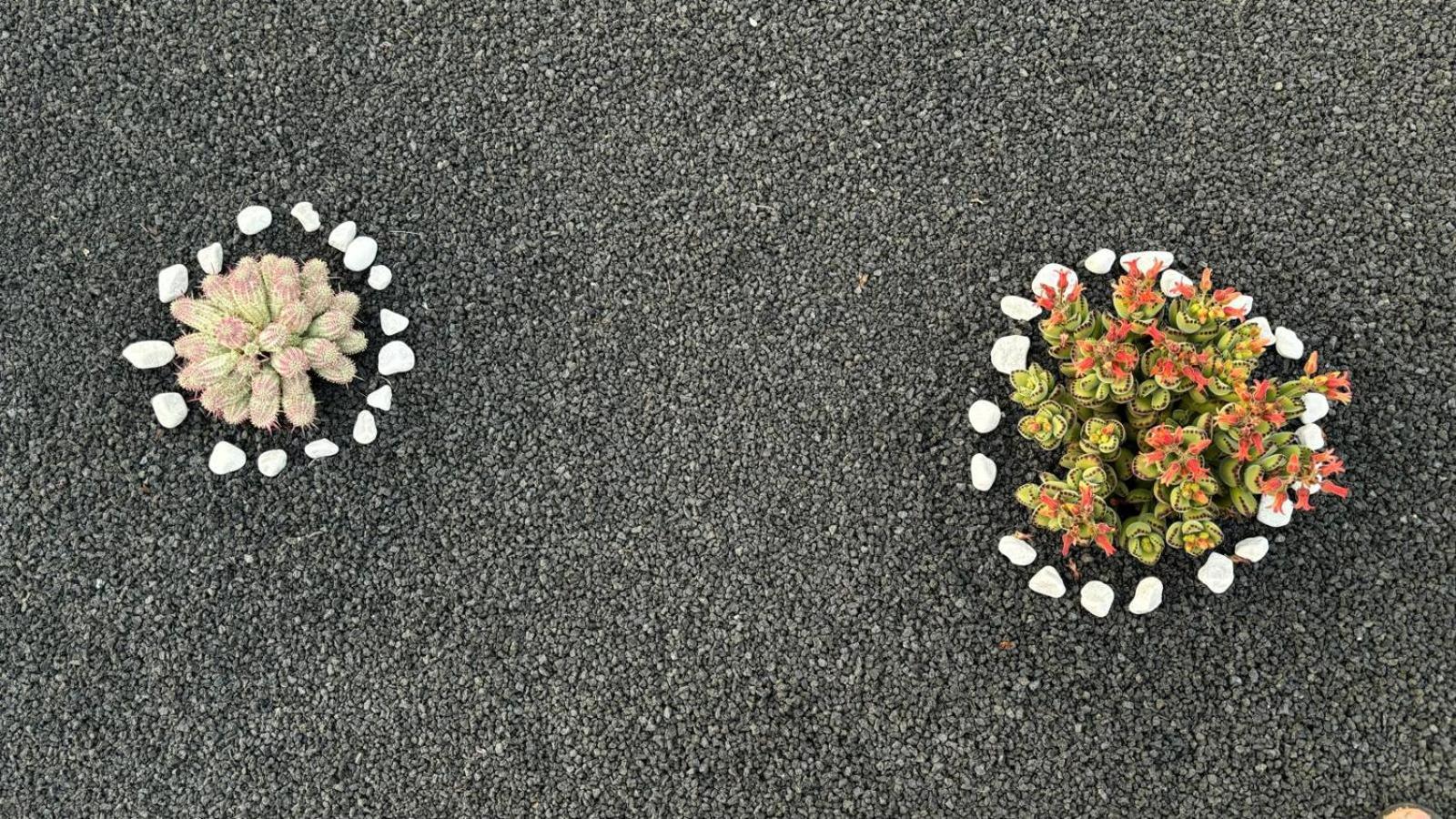 蒂纳霍Mardelava别墅 外观 照片